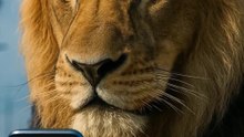 Aslan: Rumbo de las Telecomunicaciones (en 1 minuto)