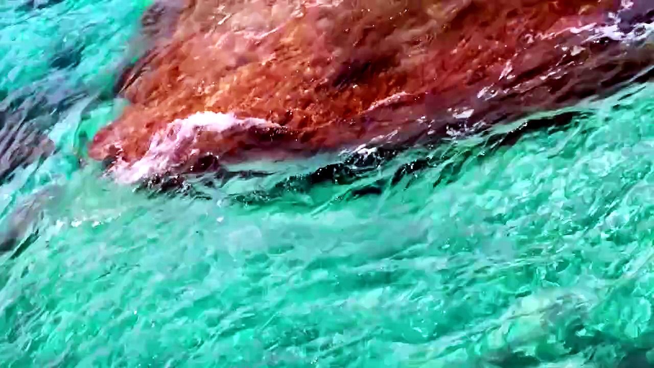 Roche d'eau marine
