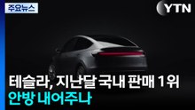 테슬라, 지난달 국내 판매 1위...안방 내어주나 / YTN
