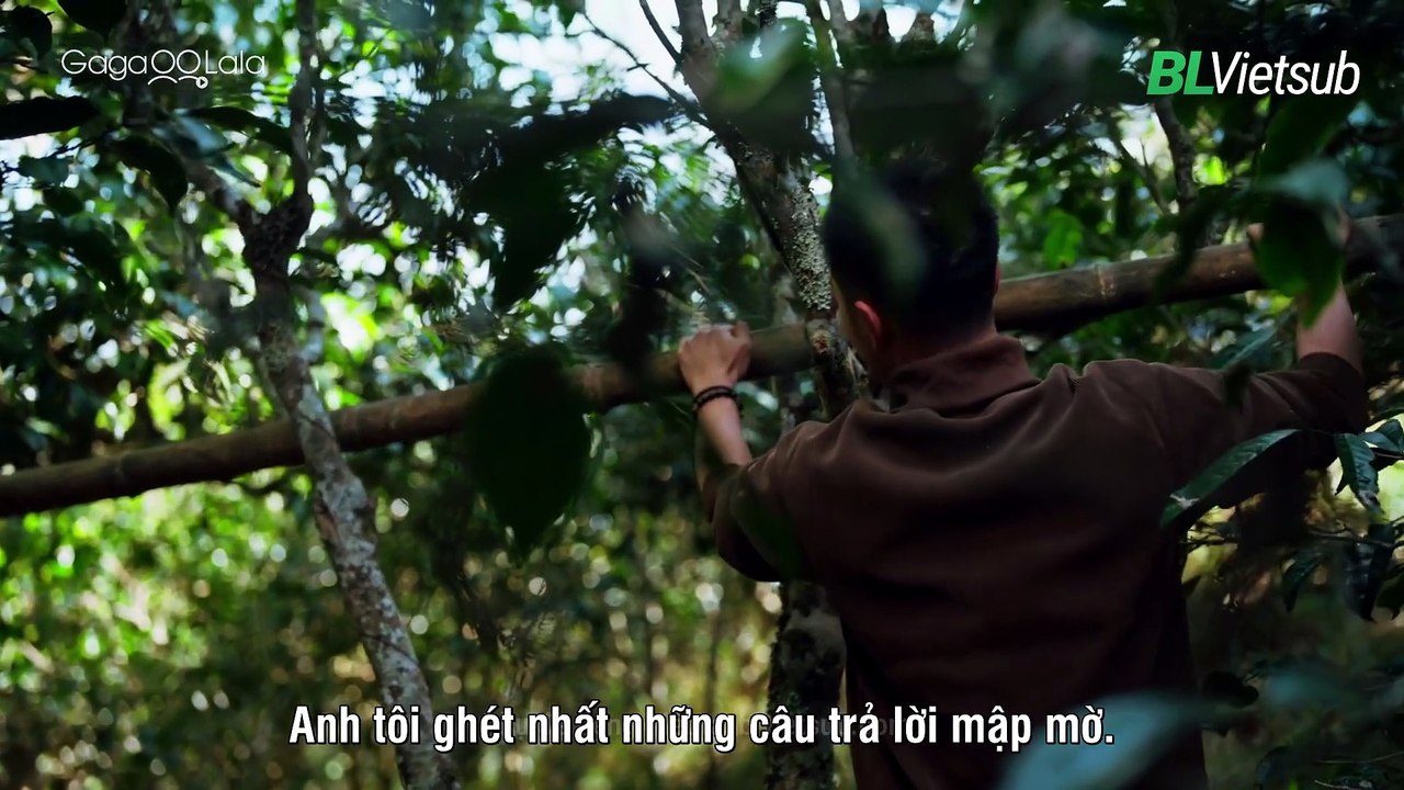 Hàn Dương 4
