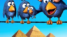 The ending actually left me speechless 💀 #talkingbirds