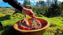 Men With the Pot Season 1 Episode 13 Full Episode HD Online