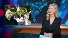 The Daily Show 06 11 Martina Navratilova Full Movie HD Online 2026