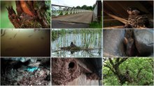 Springwatch Season 21 Episode 12 Full Episode HD Online