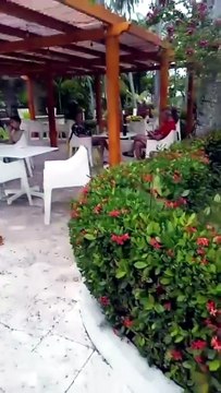 HOTEL RESORT, SOL PUNTA CANA,LA ALTAGRACIA,REGION ESTE,REPUBLICA DOMINICANA.