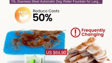 10L Stainless Steel Automatic Dog Water Fountain for Large Dog... -- Hot Deal 2026 | Limited Offer!
