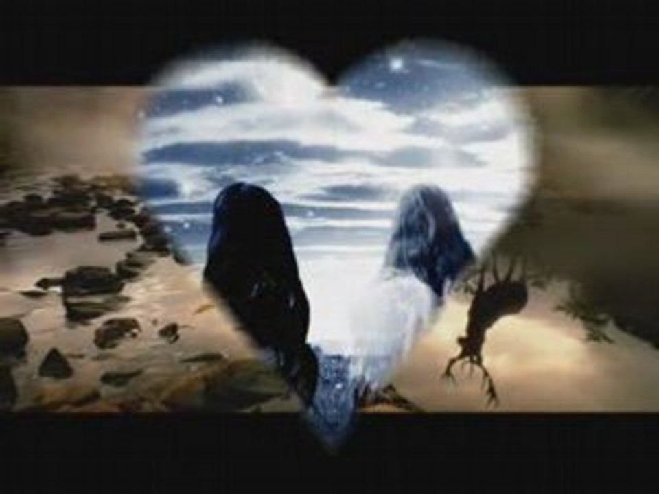 ~_~ Enigma & Deep Forest -Dawn ~_~