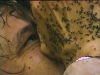 NATIONAL GEOGRAPHIC Les photographes.1