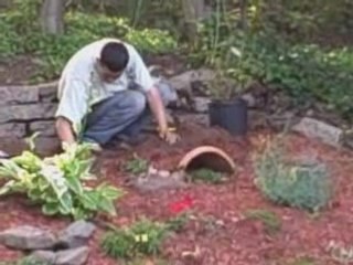 Building a CarbonCopyPRO Home Business is Like Gardening