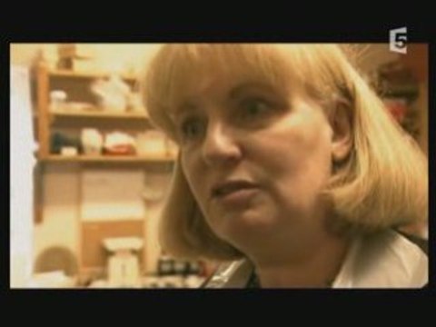 Antiquité - L'Empire romain - Légionnaires de Rome 1sur3