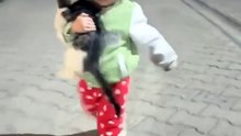 Heartwarming Connection: Toddler Embraces a Stray Cat with Love