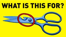 Discovering Hidden Treasures: Unveiling the Value in Everyday Items