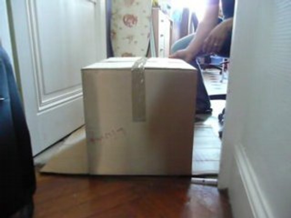 Faire les cartons de déménagement c'est trop fatiguant
