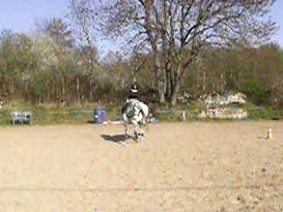 Ordo et moi 3