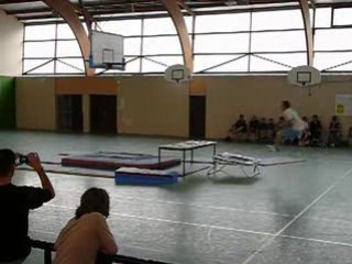 Ballon d'Or PBB , Alex dans ces oeuvres........Partie 1/2