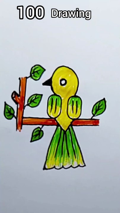 100 drawing