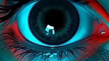 Your Phone Is Stealing Your Sleep