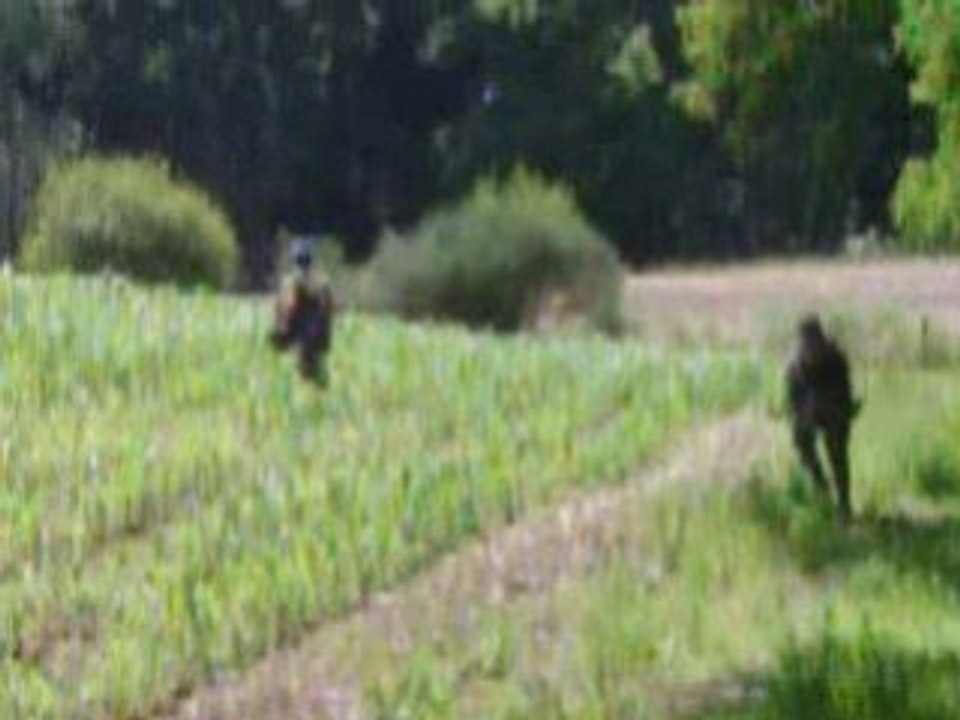AIRSOFT