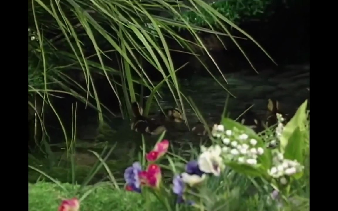 PBS Kids Barney And Friends The Duckies Do...mp4