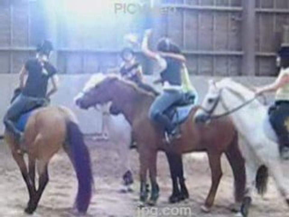 Horse-ball