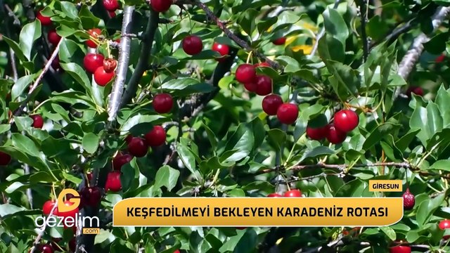 Giresun'da gezilecek yerler: Tarih, doğa ve lezzet dolu bir Karadeniz rotası