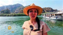 Tabiatın kalbindeki ahenk: Gölcük Tabiat Parkı