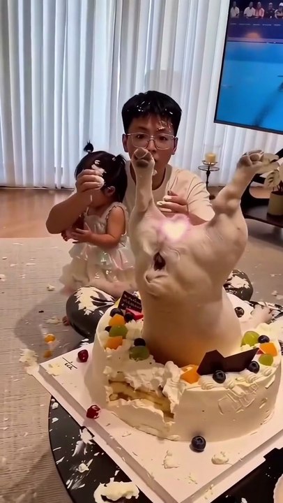 Epic Fail: Dog Jumps Into Birthday Cake! 🐶😂
