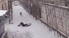 Dog Knocks Down A Boy As He Walks Past