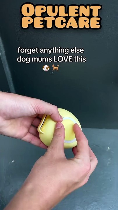 Pet Bath Brush