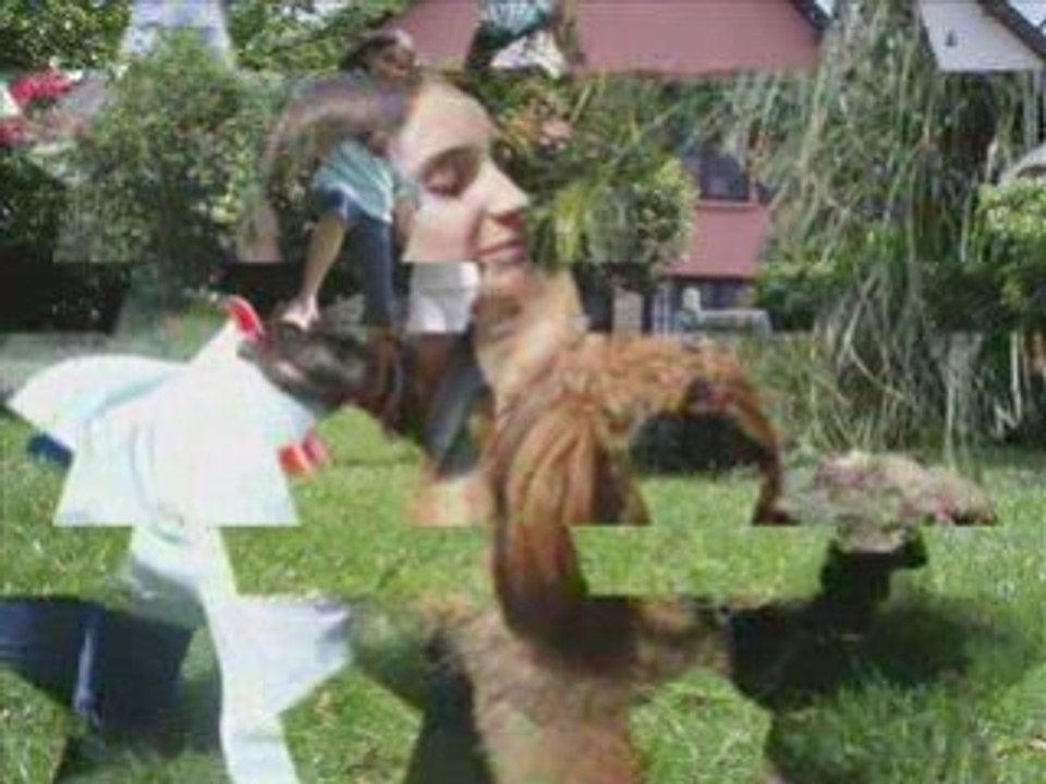 La vidéo de cette magnifique journée avec ma BeSt'4