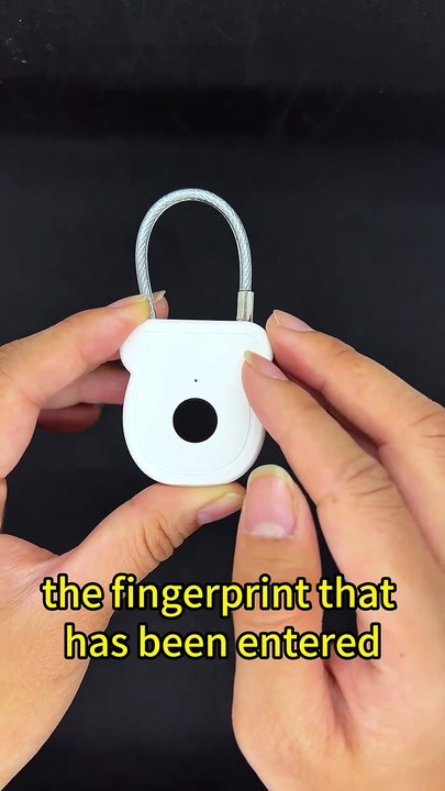 Fingerprint Padlock Review 🔐 Waterproof Keyless Security Lock