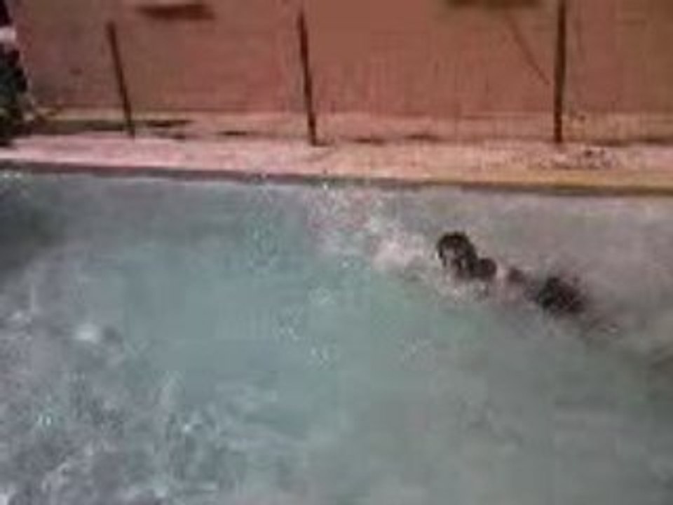 Bealou dans piscine texan