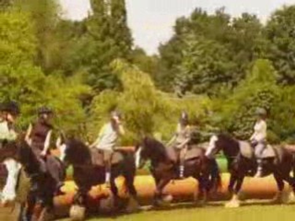 Meeting irish cob samedi 21 juin