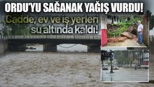Ordu'da Sağanak Nedeniyle Ev ve İş Yerlerini Su Bastı, İstinat Duvarı Çöktü