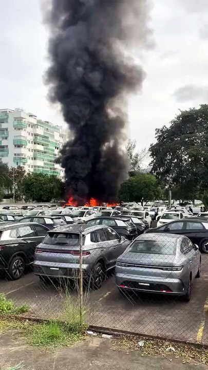 Cinco pessoas morrem após colisão entre duas aeronaves no Rio de Janeiro