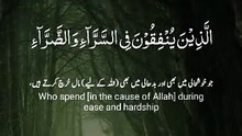 Hear beautiful recitation of verses Surah Al imran