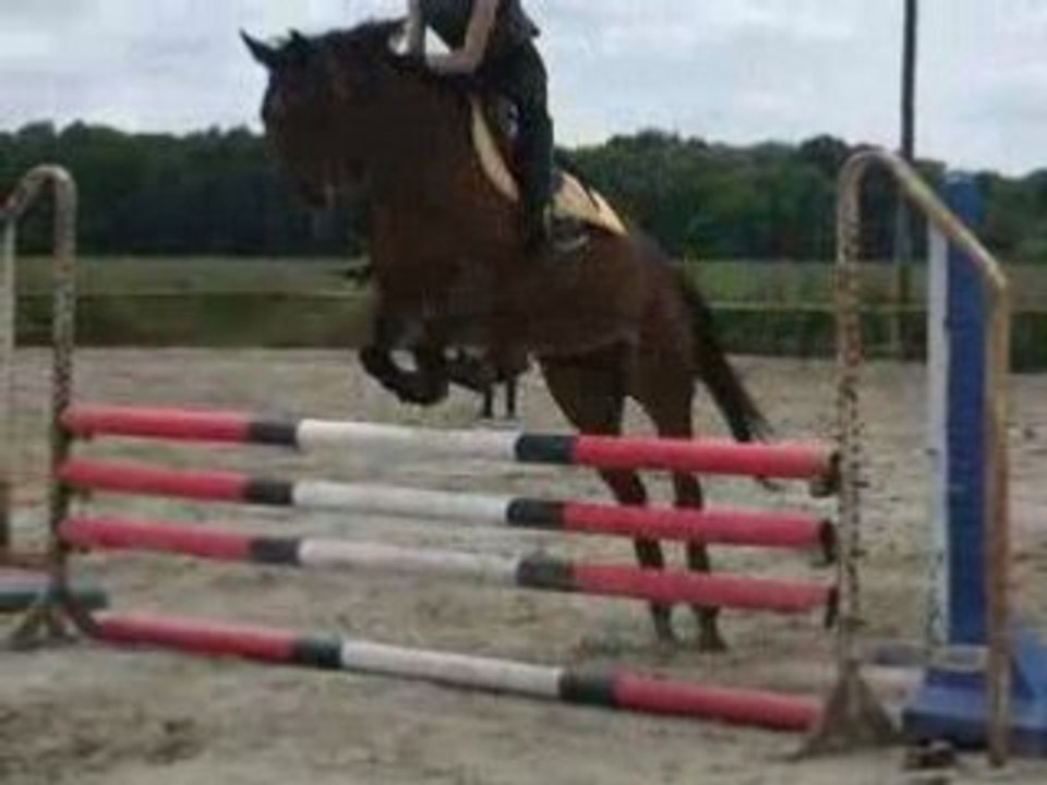 Oxy et moi saut d'obstacle..