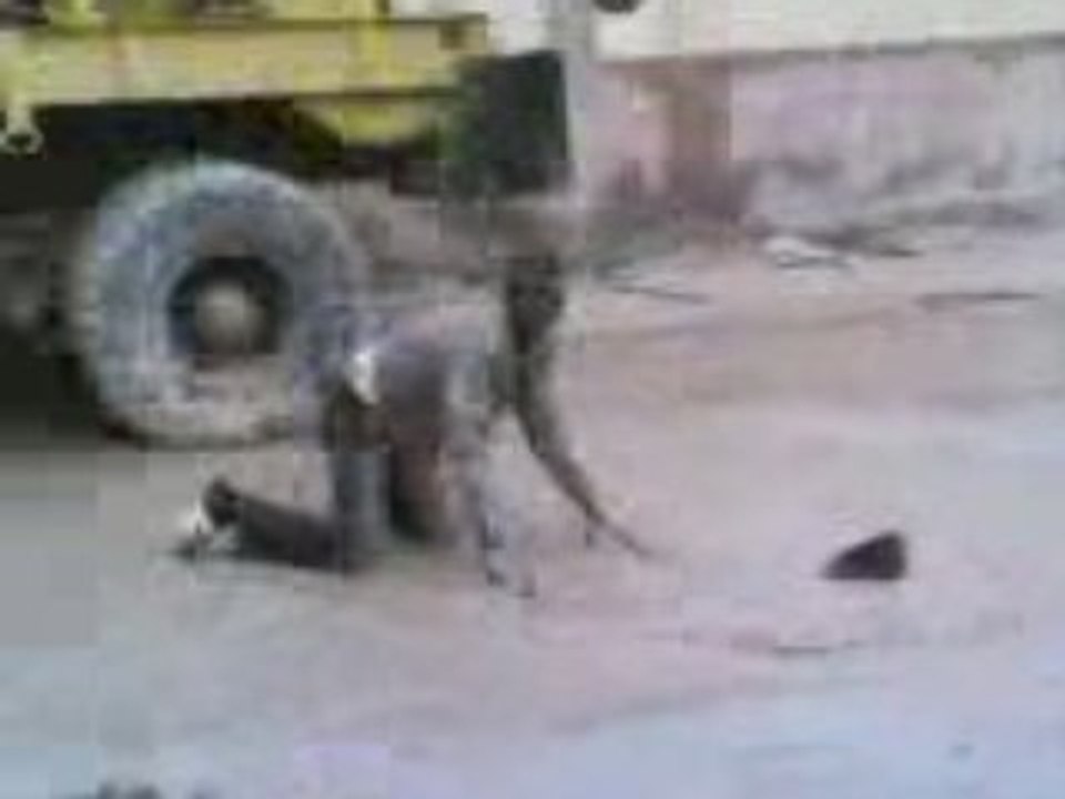l'argen fi tt avec les algerien