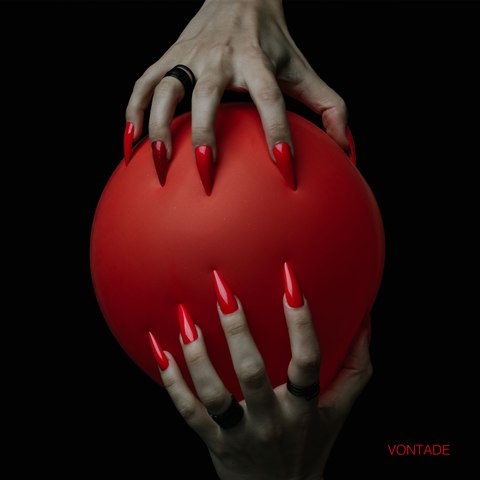 Vontade Clipe Oficial Louise Enriconi