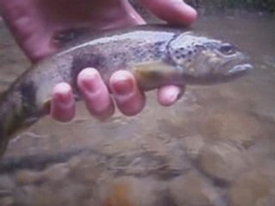 de l'autre coté du miroir...