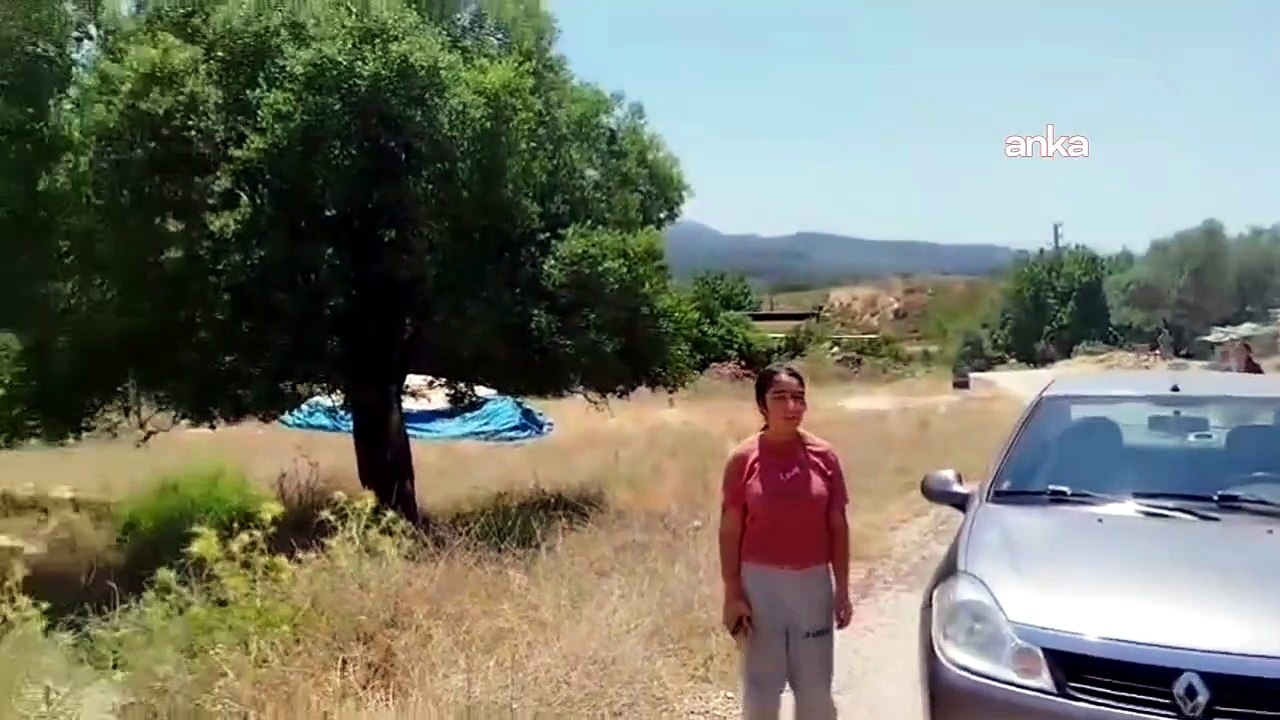 Danıştay durdurmuştu: İş makineleri Akbelen’e yeniden girdi