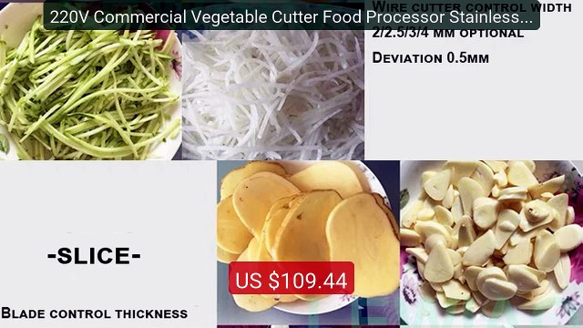 220V Commercial Vegetable Cutter Food Processor Stainless Stee... Best Buy 2026 | Great Quality!