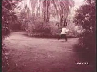 Pub Orangina(1973)