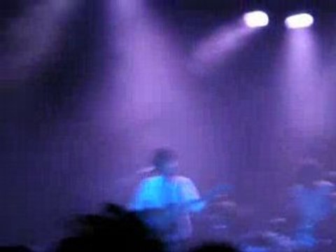 BB brunes - Seul ou accompagné