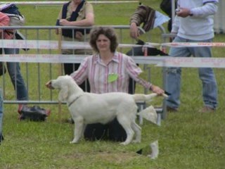 Ciska - Cacs l'Union