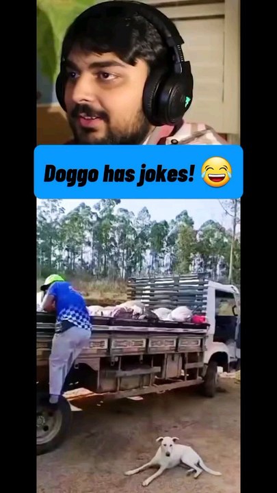 The Dog Who Laughs! 😂 Hilarious Pet Smile You Can't Miss #Shorts