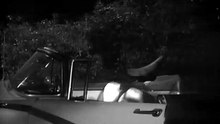 Un grito en la noche