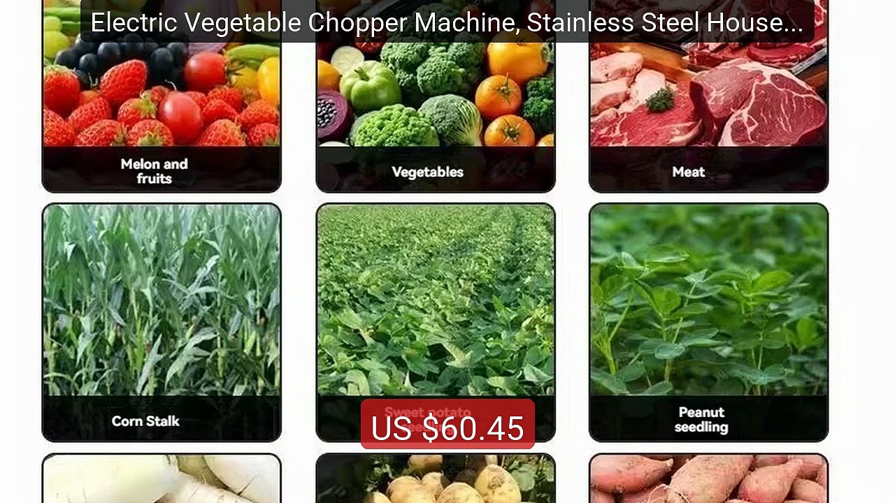 Electric Vegetable Chopper Machine, Stainless Steel Household Food ... -- Top Rated 2026 | Buy Now!