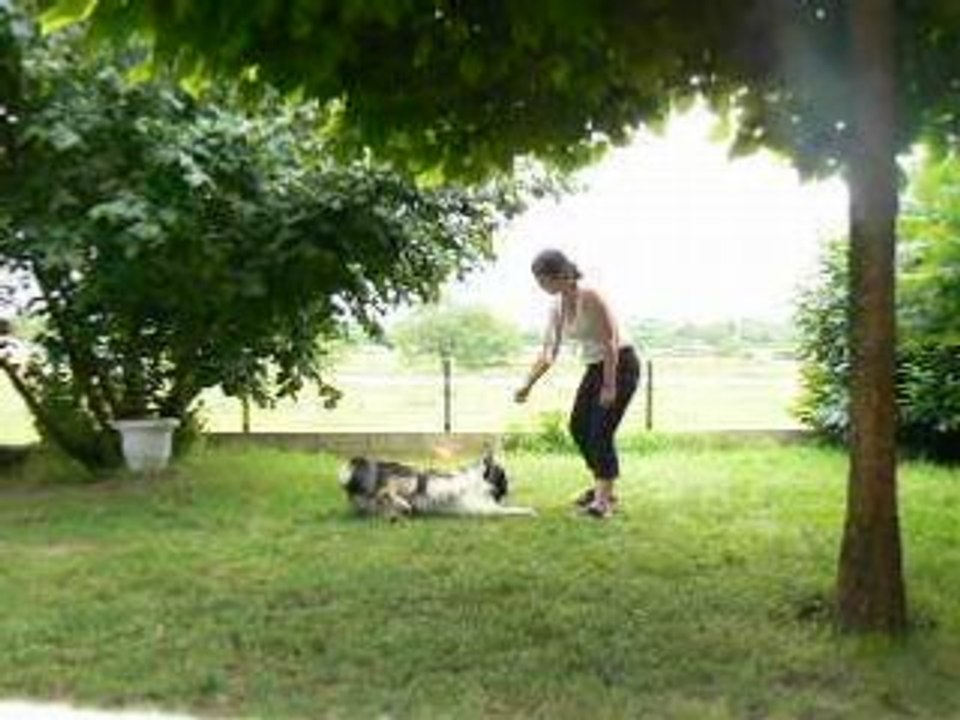 bounty roule