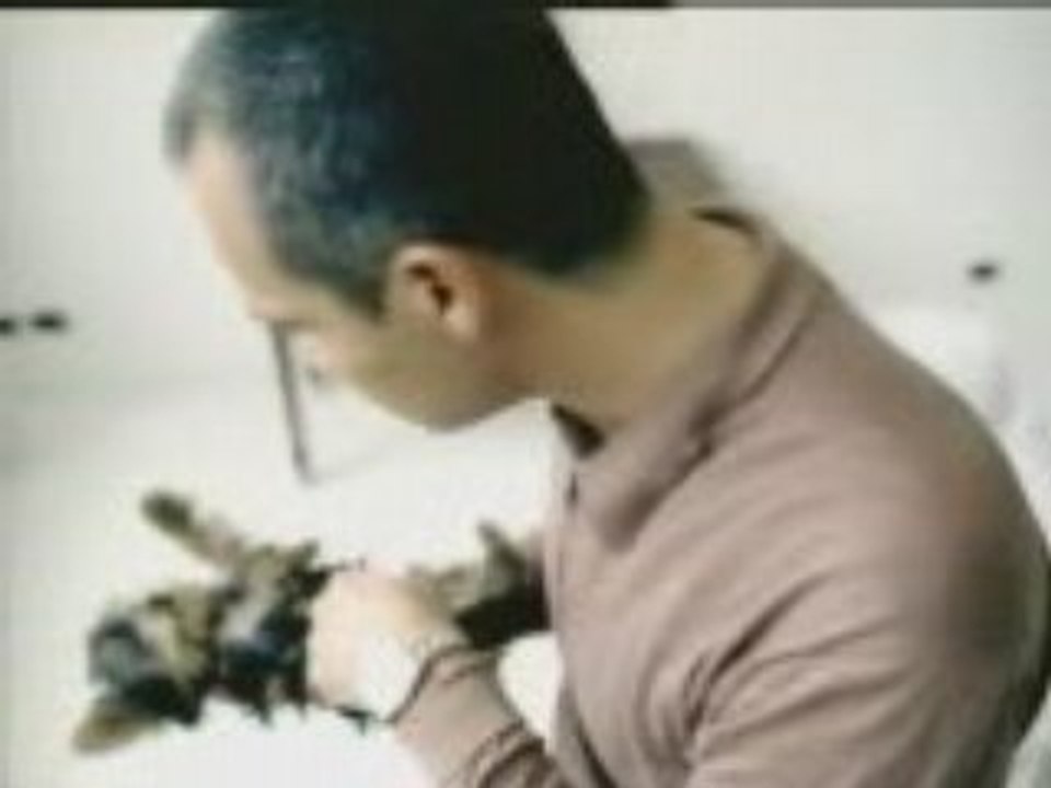 Pub Motorola -Le Yorkshire-